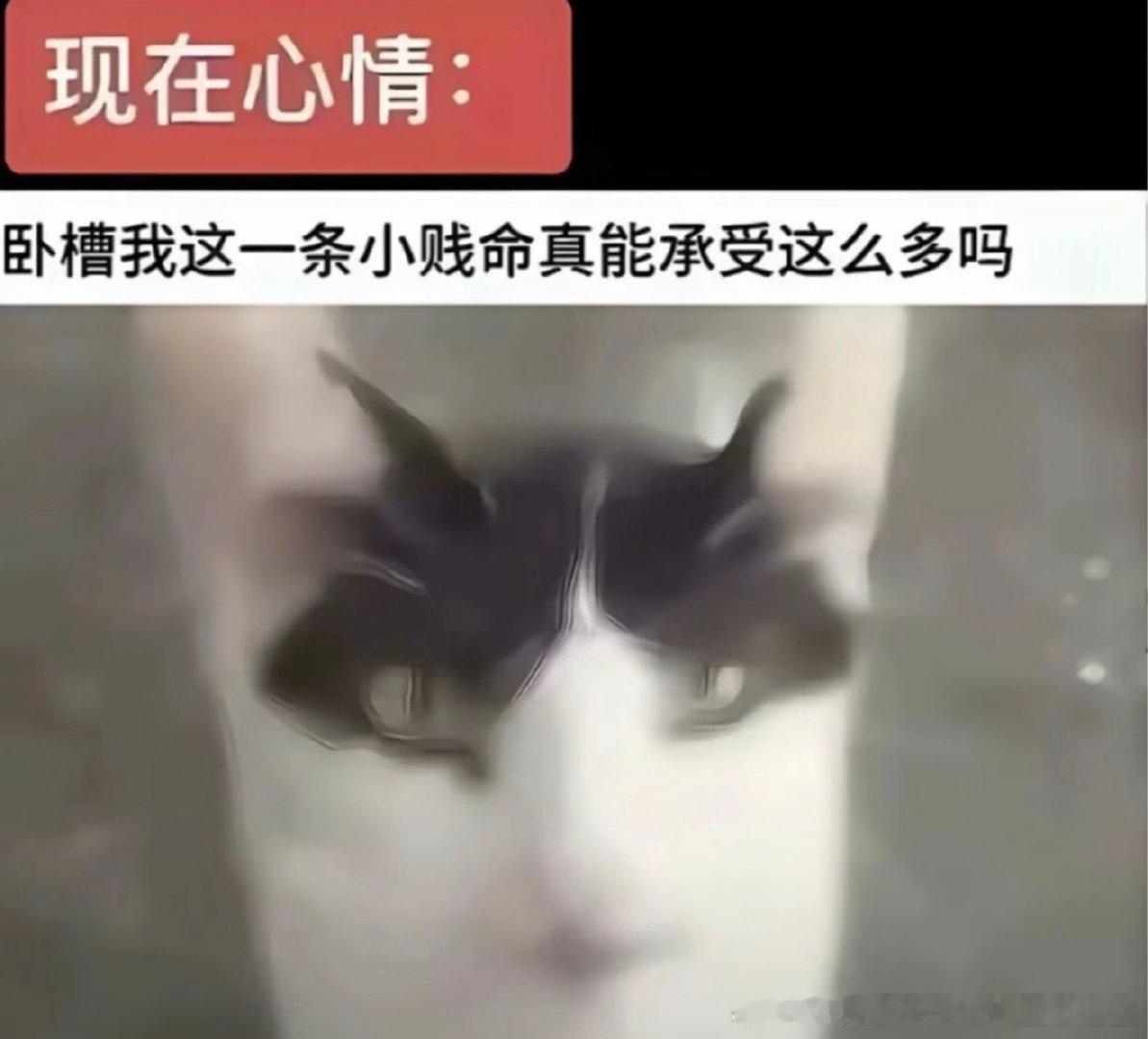 我已力竭，我已沉默，我已投降，我已绝望，我已崩溃，我已无助，我已流泪，我已搜栈，我已宕机，我已报错，我已删库，我已躺平摆烂，我已贤者时刻，我已无力debug，我已百度谷歌求大佬，我已三十六计跑路为上计 ​