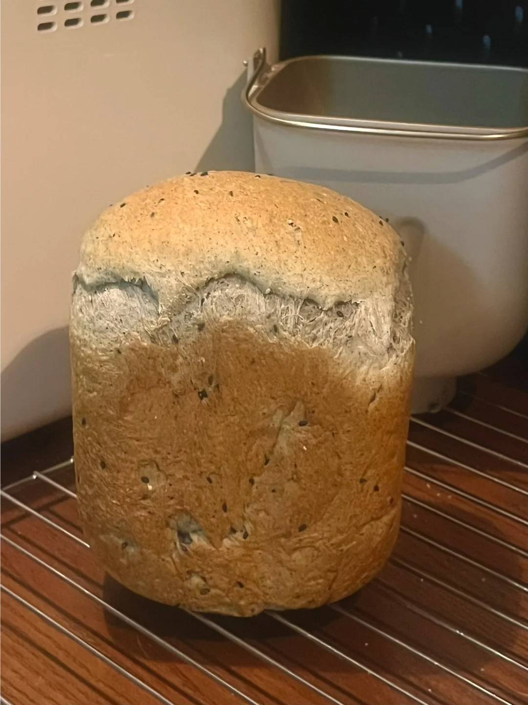 抢着🧧做面包太欢乐！！一键爆顶！黑芝麻吐司