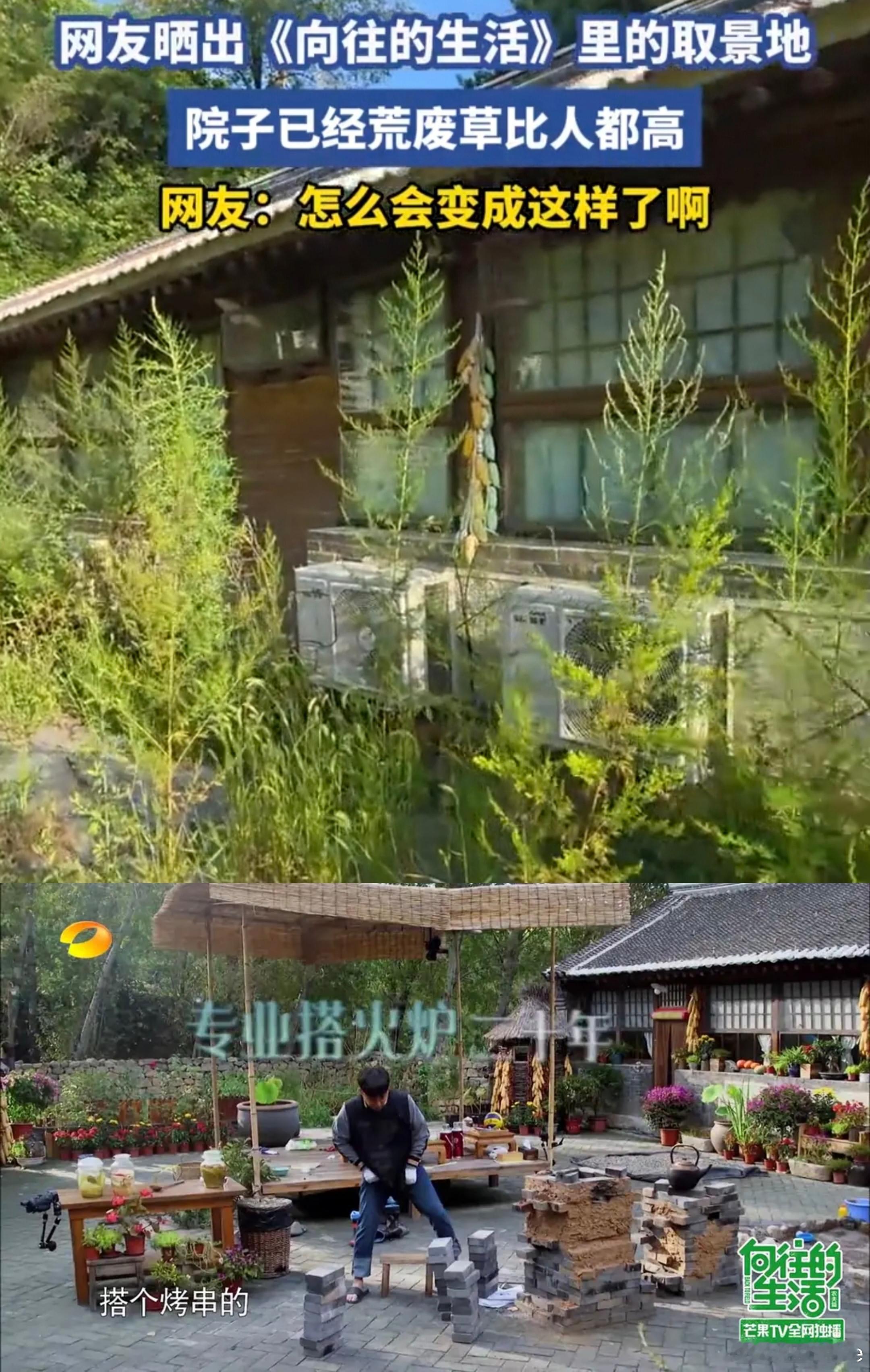 十年了，《向往》第一季密云蘑菇屋已长满荒草。  网友打卡《向往的生活》...