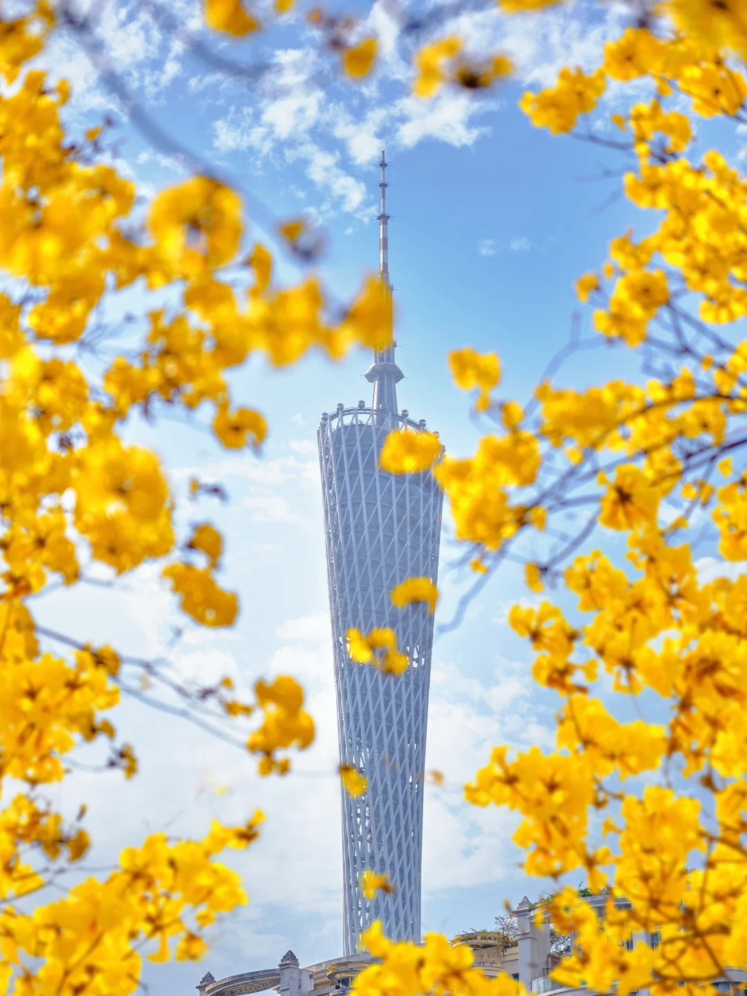 这里错过等一年🌼广州的春天进入高光时刻❗️