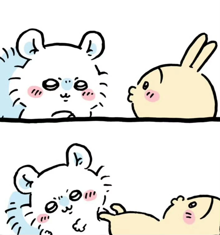 看不惯兔又怎么样