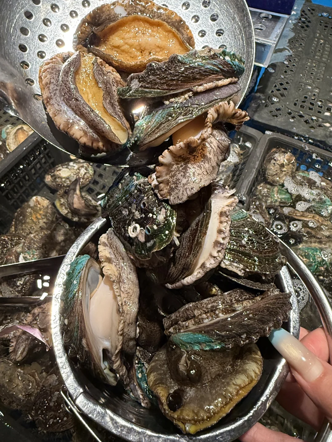 感谢南昌npy带我见世面。。。。🥺🥺