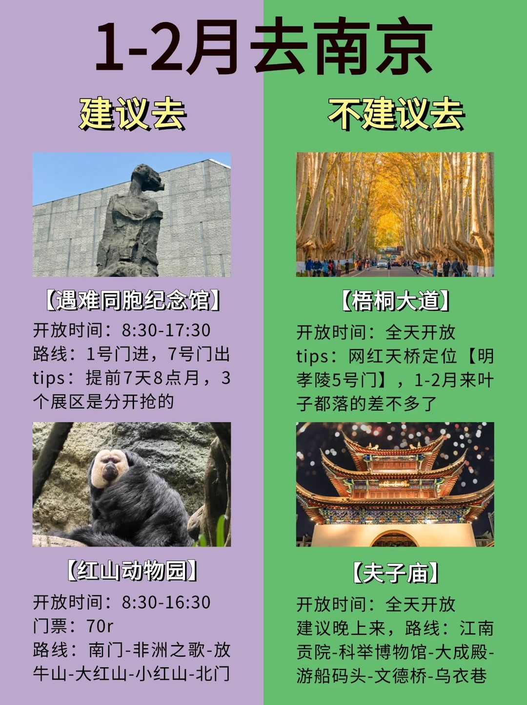 愿1-2月去南京的姐妹们都能刷到这篇