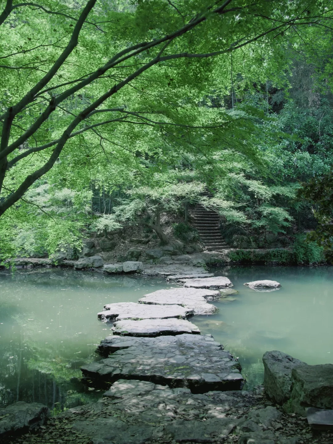 杭州｜建议感觉能量低的人都来走一下这条路