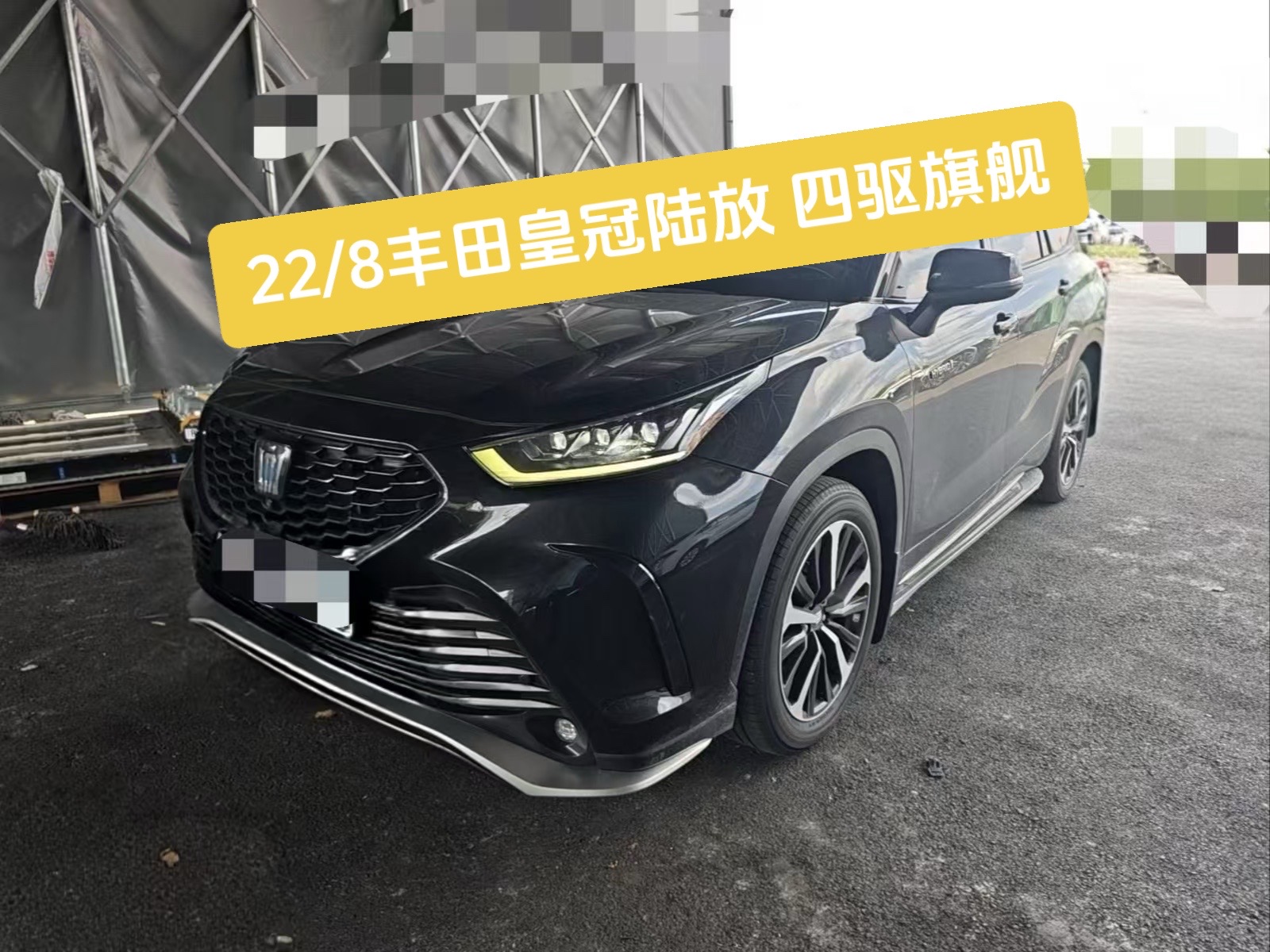 皇冠陆放