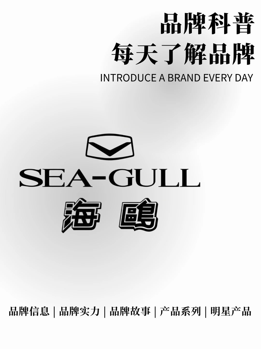 每天了解一个品牌 | 海鸥表 国货之光