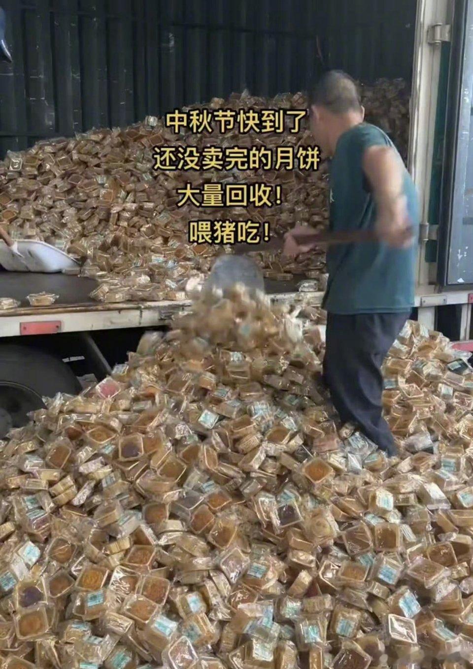 #月饼回收价800元一吨#中秋节一过…月饼没人吃了，直接论斤回收喂牲口，这你受得了吗[无聊] ​