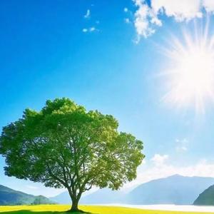 健铭侃社会生活