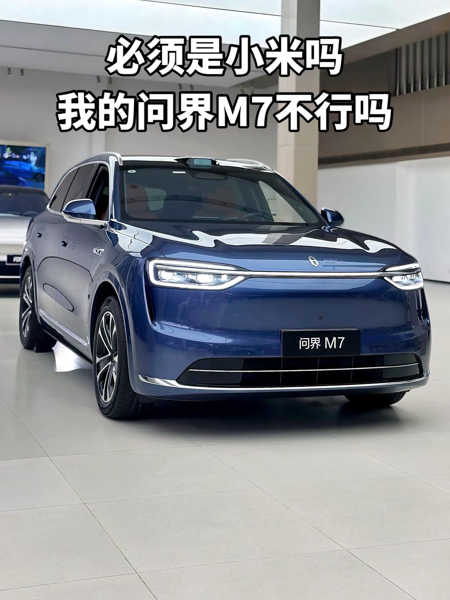 必须是小米吗，我的问界M7不行吗问界