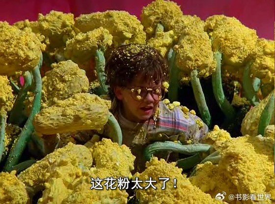 电影《亲爱的，我把孩子缩小了》
豆瓣7.6分
【喜剧 / 科幻 / 家庭 / 冒险】
百度网盘无广绿色链接：
一场意外，孩子们被缩小成蚂蚁大小！后院草丛瞬间化作危机四伏的巨型丛林。开启惊险爆笑的微观冒险。奇幻又治愈，父母与孩子在这场奇遇中重新看见彼此，读懂陪伴的意义。 ​