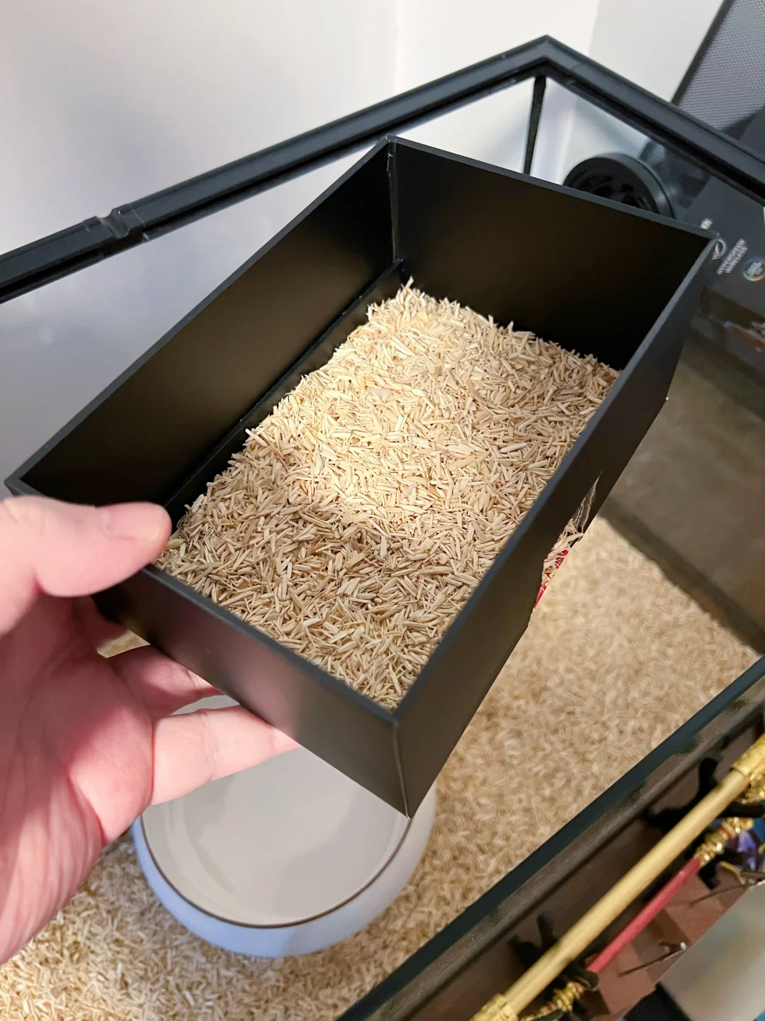 用鼠标盒子给黑切手搓了一个大一点的躲藏屋，之前的小了。冬天了，要有个地方给安排冬