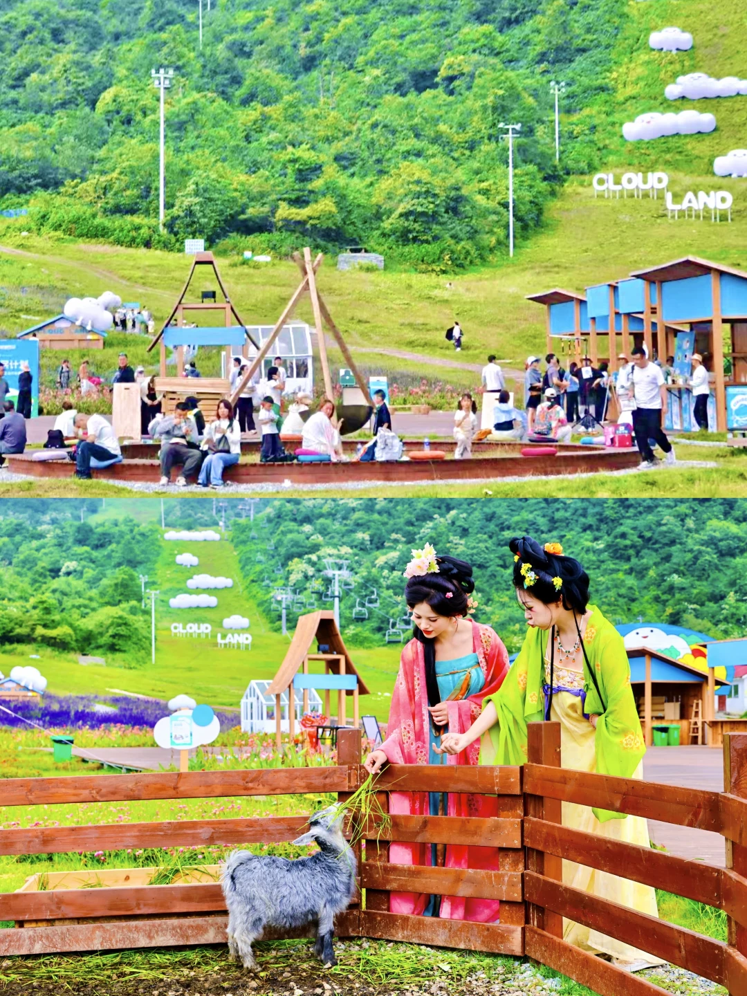 成都周边避暑！西岭雪山夏日山林好凉快！！