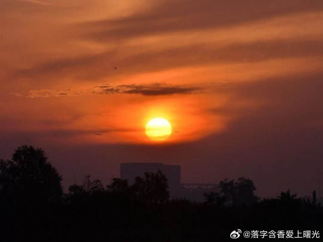 营收暴涨、利润暴跌、规模越大效率越低？破解大企业病：让一线扛起业绩增长！

很多企业都会陷入一个诡异的增长死循环：
营收在涨、净利润在降；业务规模在扩、组织效率在崩；团队人数越多、业绩增长越难。

企业好不容易从小作坊做到行业头部，却突然停下增长的脚步，内部内耗严重、推诿扯皮、目标悬 ​