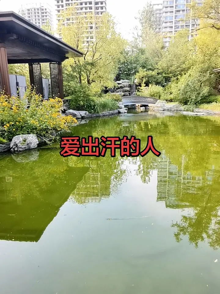 第二届
