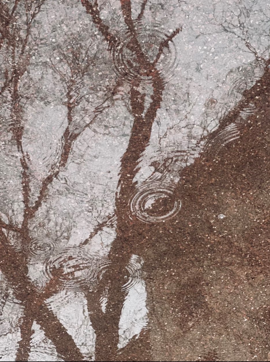 夜里落过一场雨，白天依旧闷得喘不过气。雨水没带走燥热，反倒拉高空气湿度，是华南典型的桑拿体感。国庆南方先雨后晴，假期前期出门备好雨具，留意防暑防潮。#国庆假期南方前雨后晴# ​