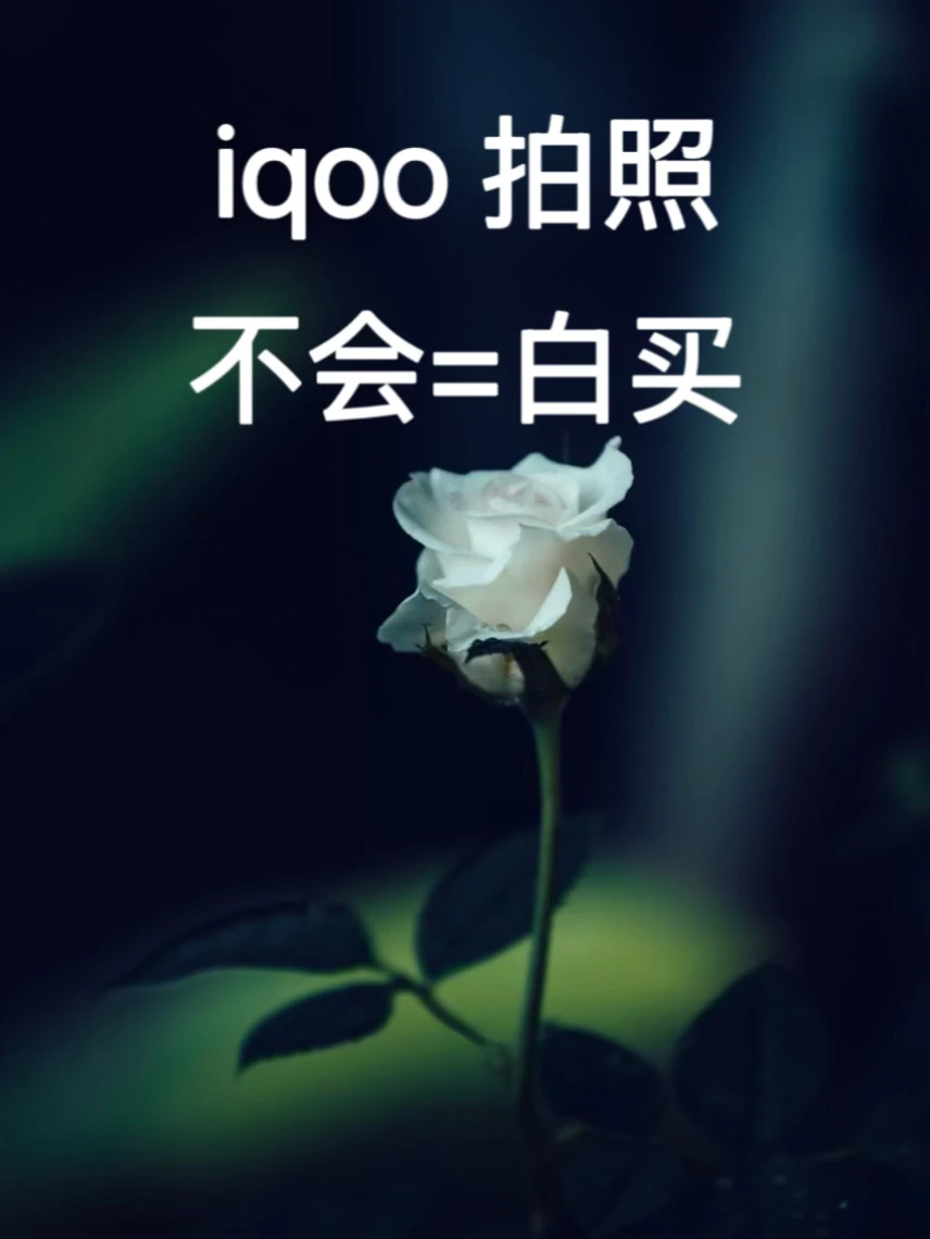 📱iQOO手机专业模式拍照技巧｜保姆级教程🔥