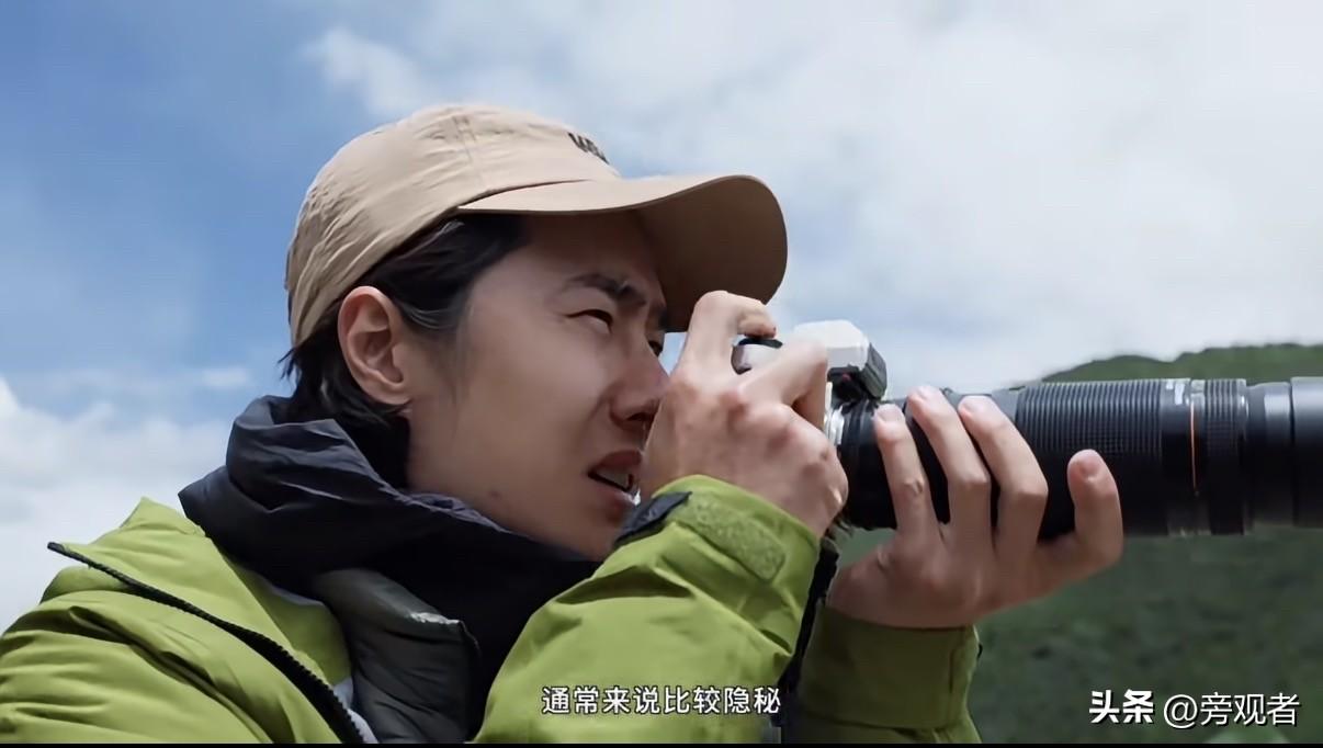 王一博在青海玉树拍摄纪录片《看见豹之地》，镜头对准的是华北豹。

看到高原、寻豹，别把主角认成雪豹。这次要记录的华北豹，是中国特有的豹亚种。王一博跟着巡护员，走进平均海拔超过四千米的玉树区域，完成野外拍摄。相机的价格未必能说明这趟旅程的价值，镜头拍下怎样的野生动物生活，才是看点。

这条拍摄线索还有
