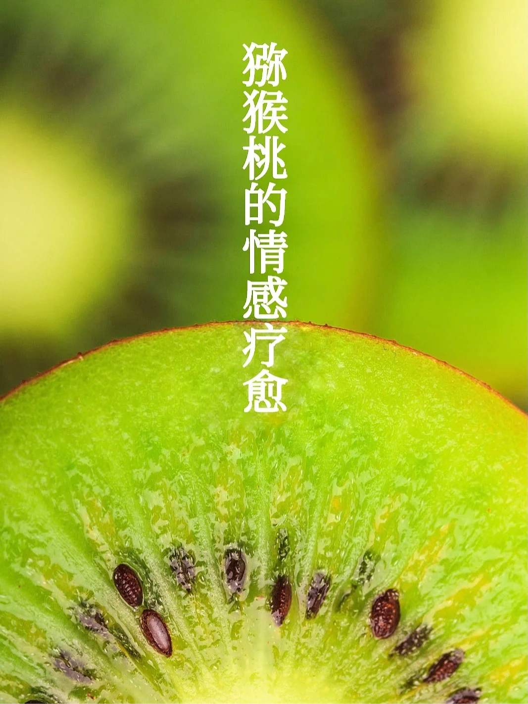 宇宙疗愈食物｜猕猴桃的情感支持