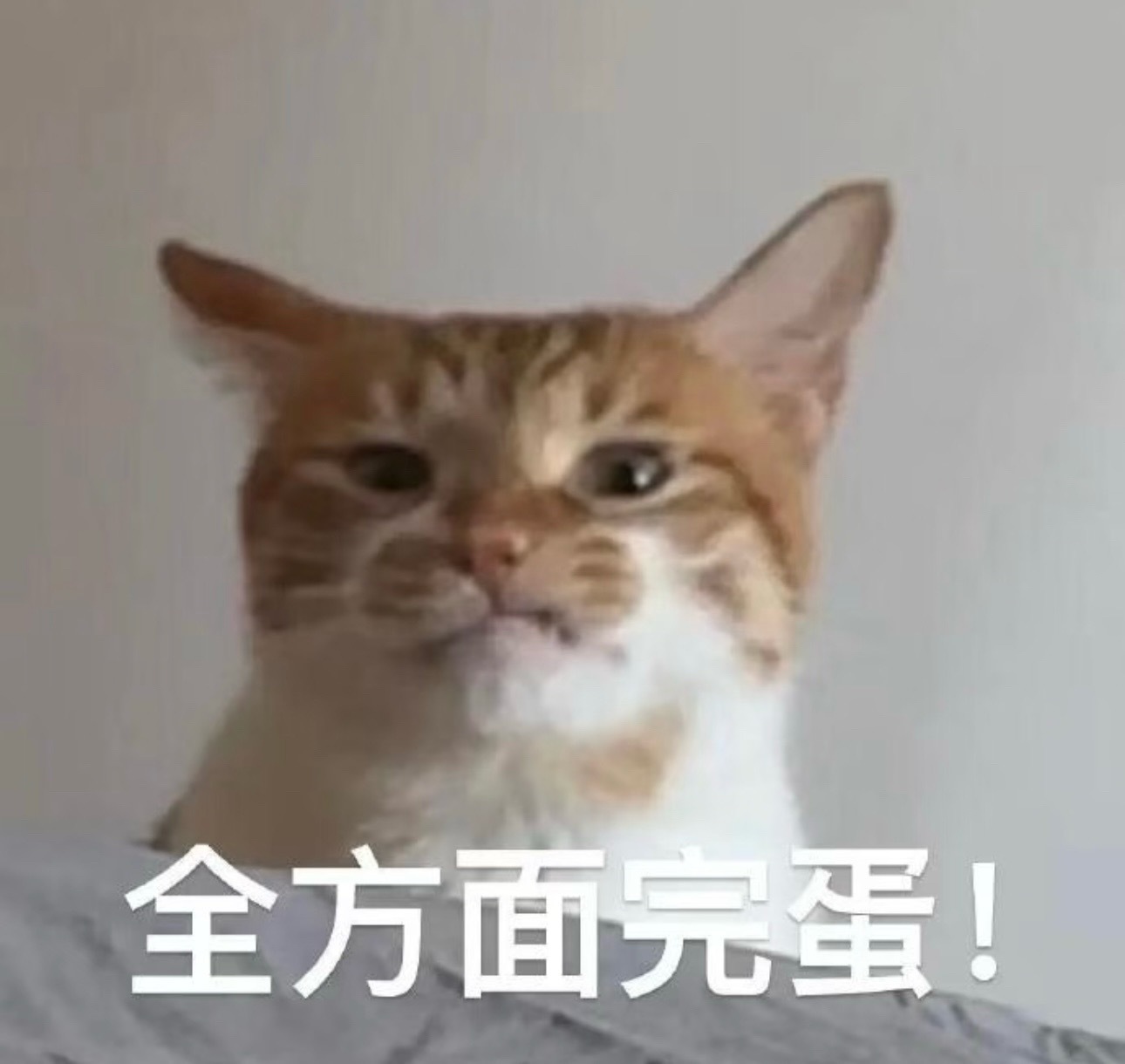 干啥啥不行，干饭第一名… 告黑不告，花絮不放，能干点啥？ 就问你们还能...