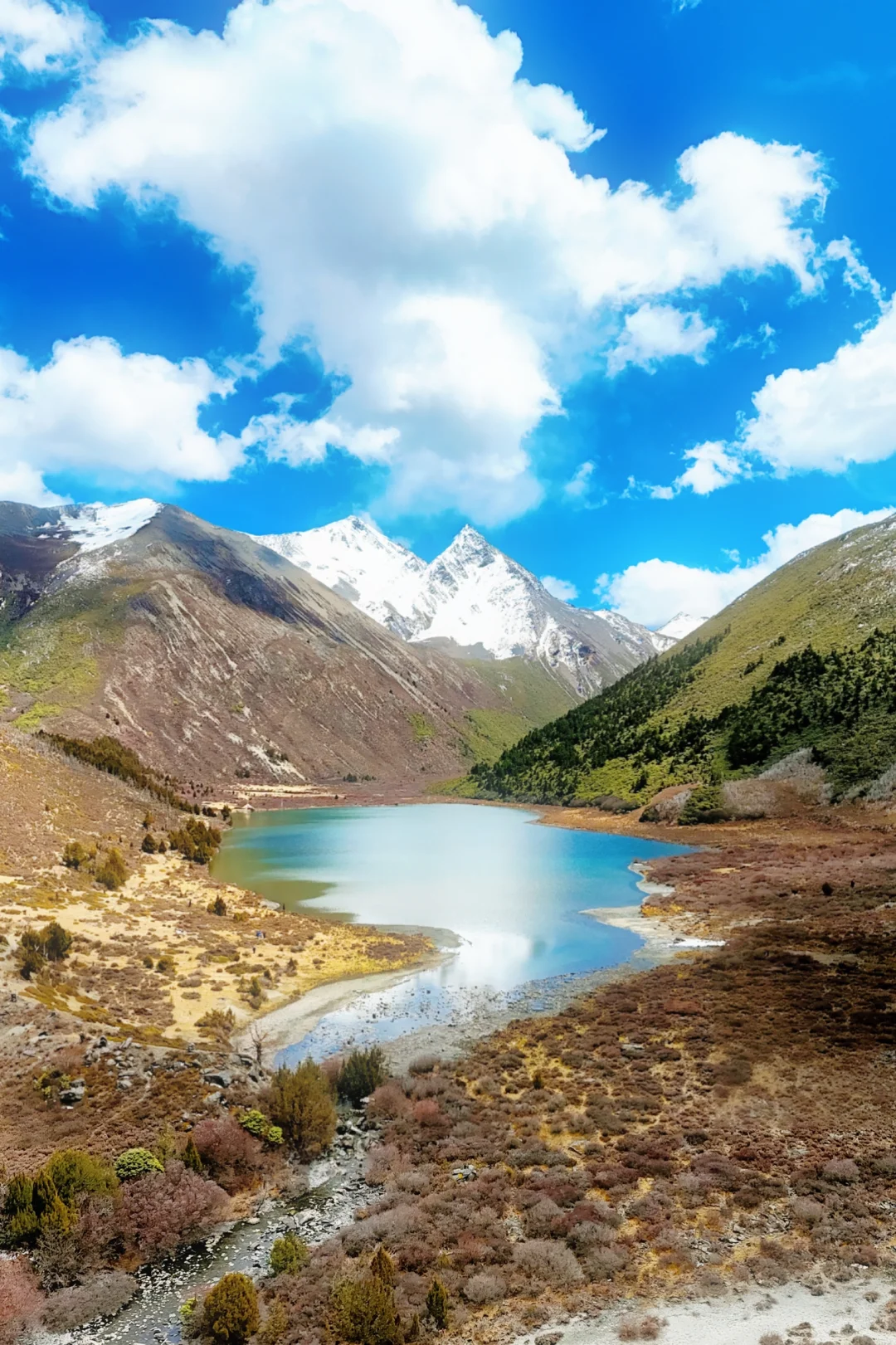 比起亚丁，我更爱这片《全世界》取景的藏乡