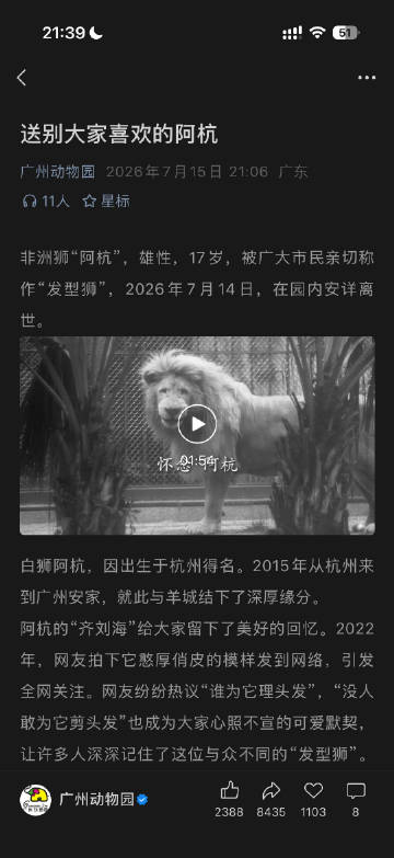 晚安阿杭😢