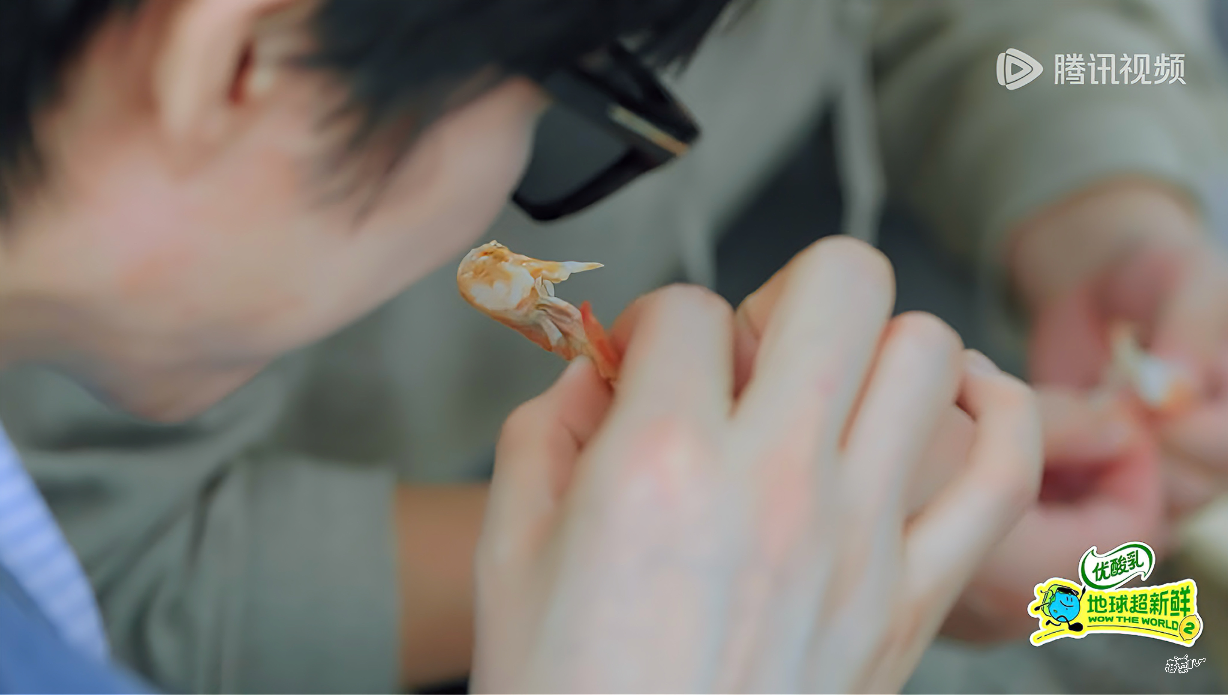  | 摩登兄弟 白白嫩嫩的手 我想平凡的日子借一点光 JUMP  刘...