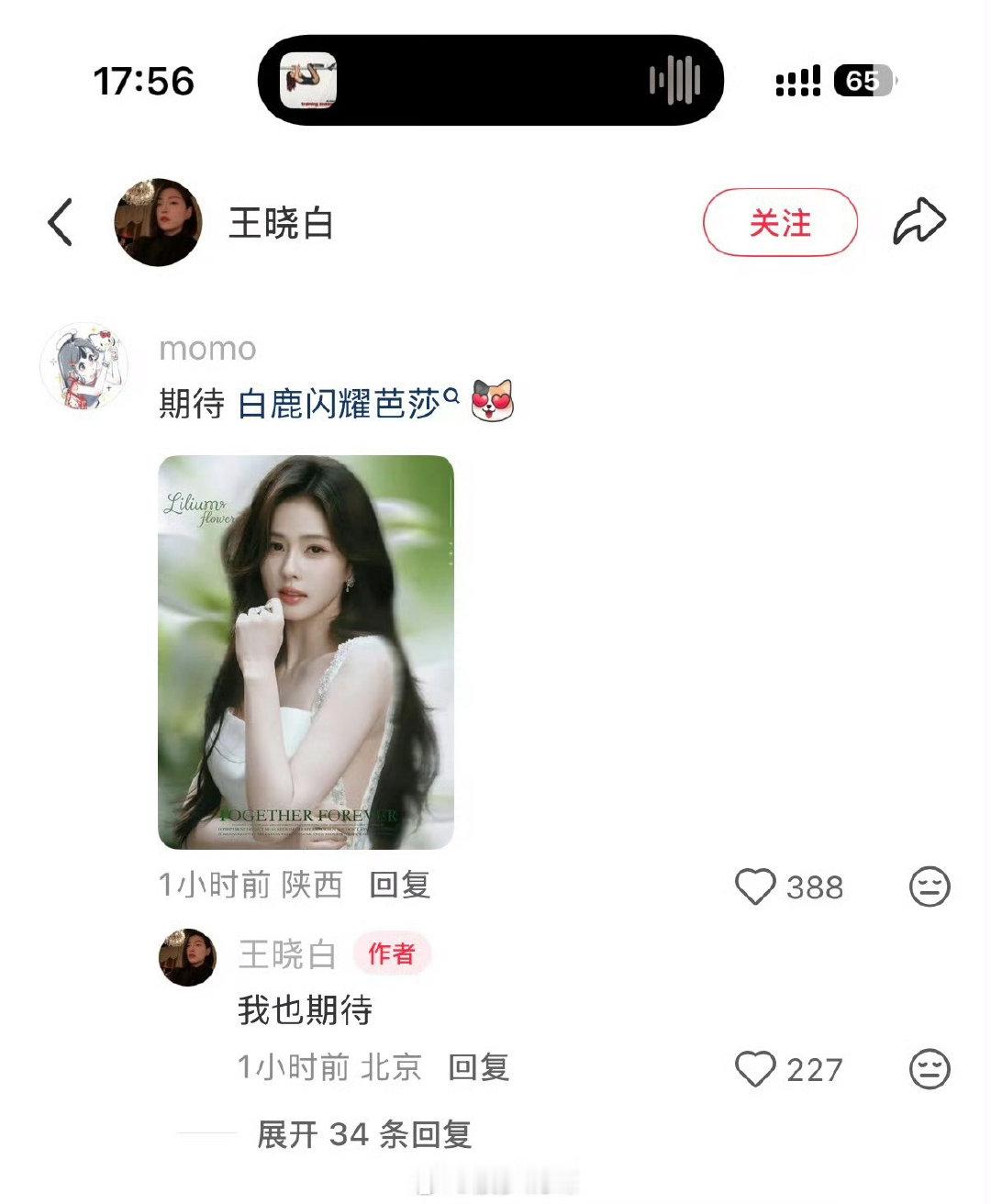 芭莎王晓白回复白鹿粉丝，期待白鹿闪耀芭莎之夜！ ​