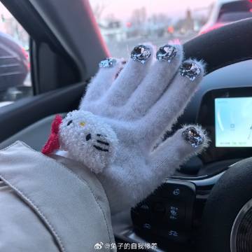 真是和你们有方向盘加热的说不清楚<span class="url-ic...