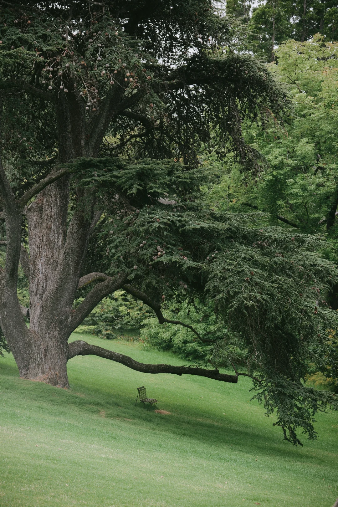 到底是谁在坐这些椅子 也太幸福了吧