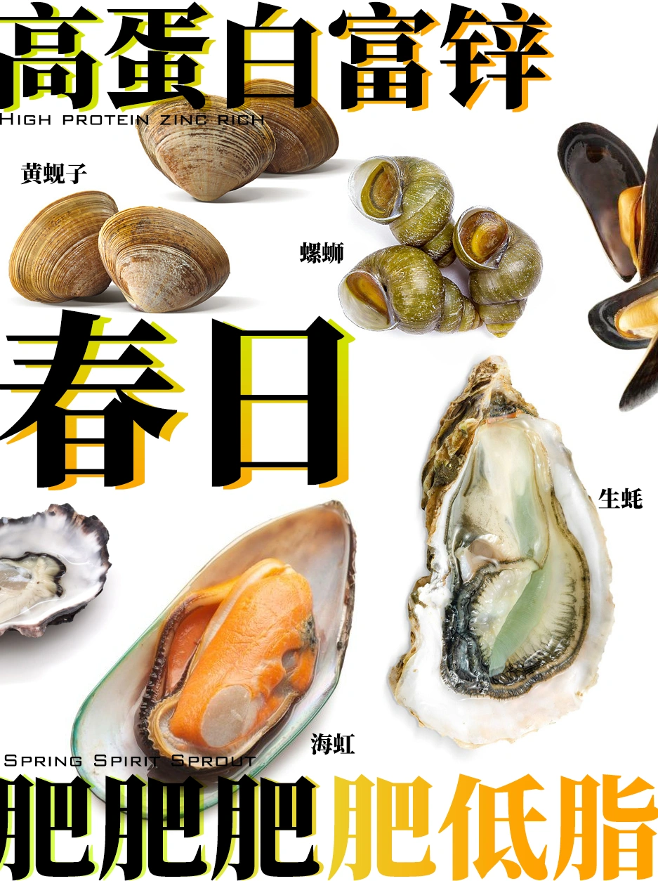 春日贝类图鉴🦪