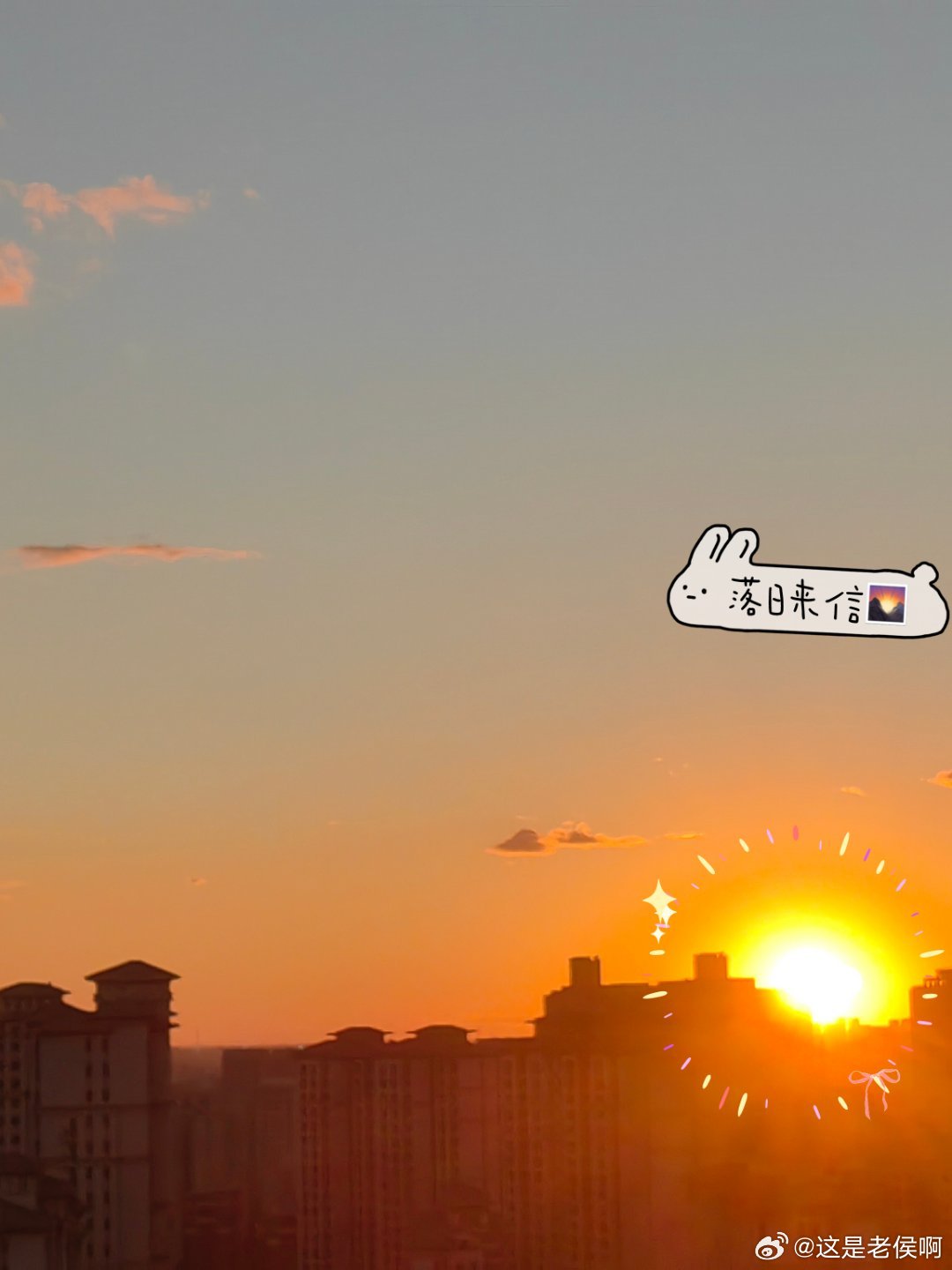 #黄子弘凡[超话]# 
plooooooooog [送花花]
#‎一条plog告别九月# ​