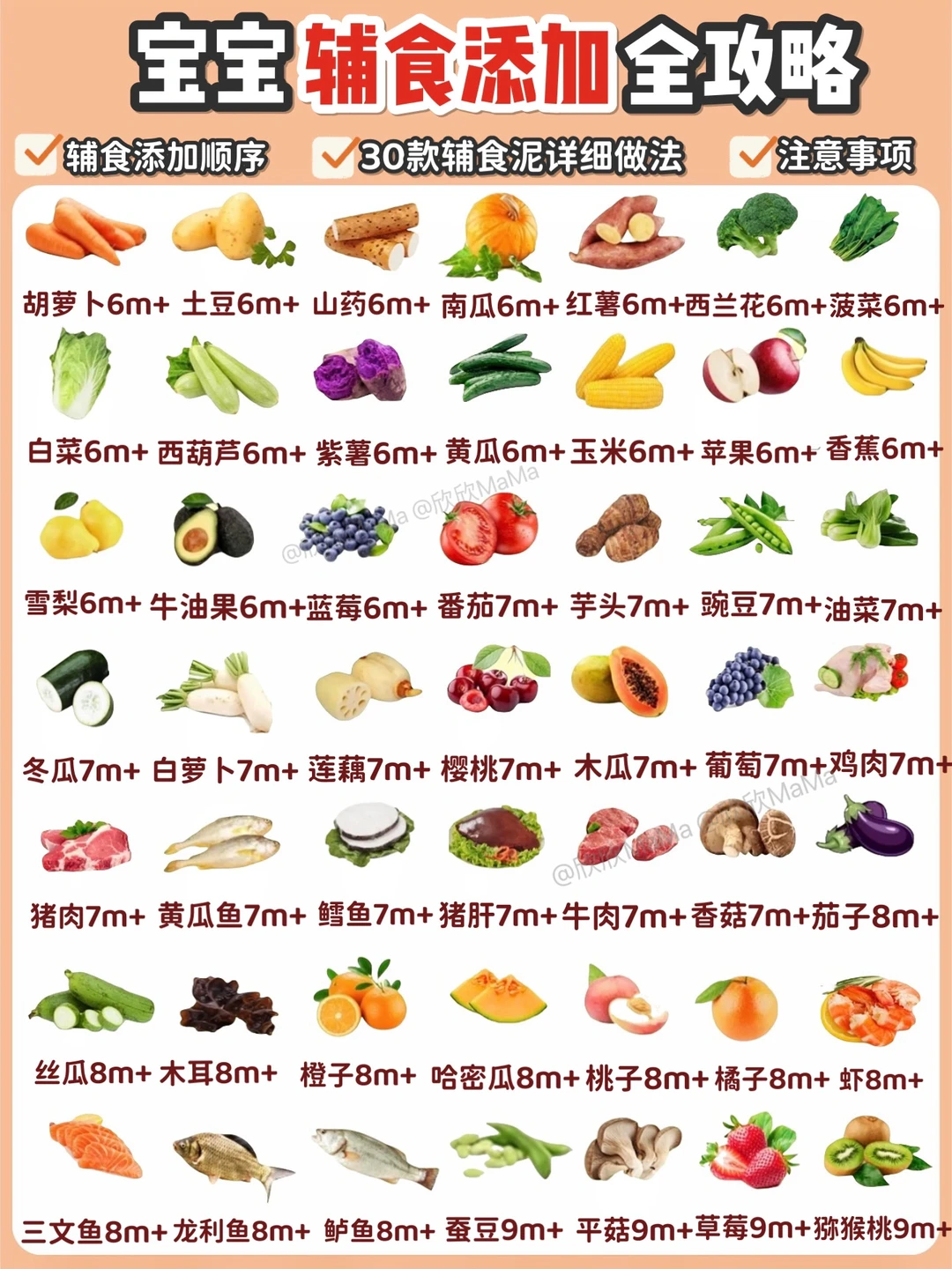 6月龄宝宝辅食添加顺序及30种宝宝果泥做法