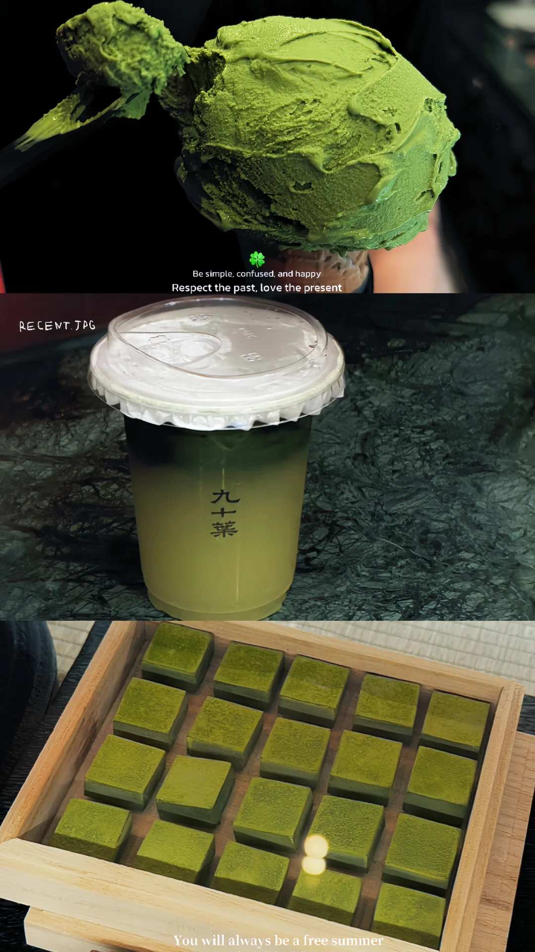 被抹茶硬控！！抹茶脑袋狂喜