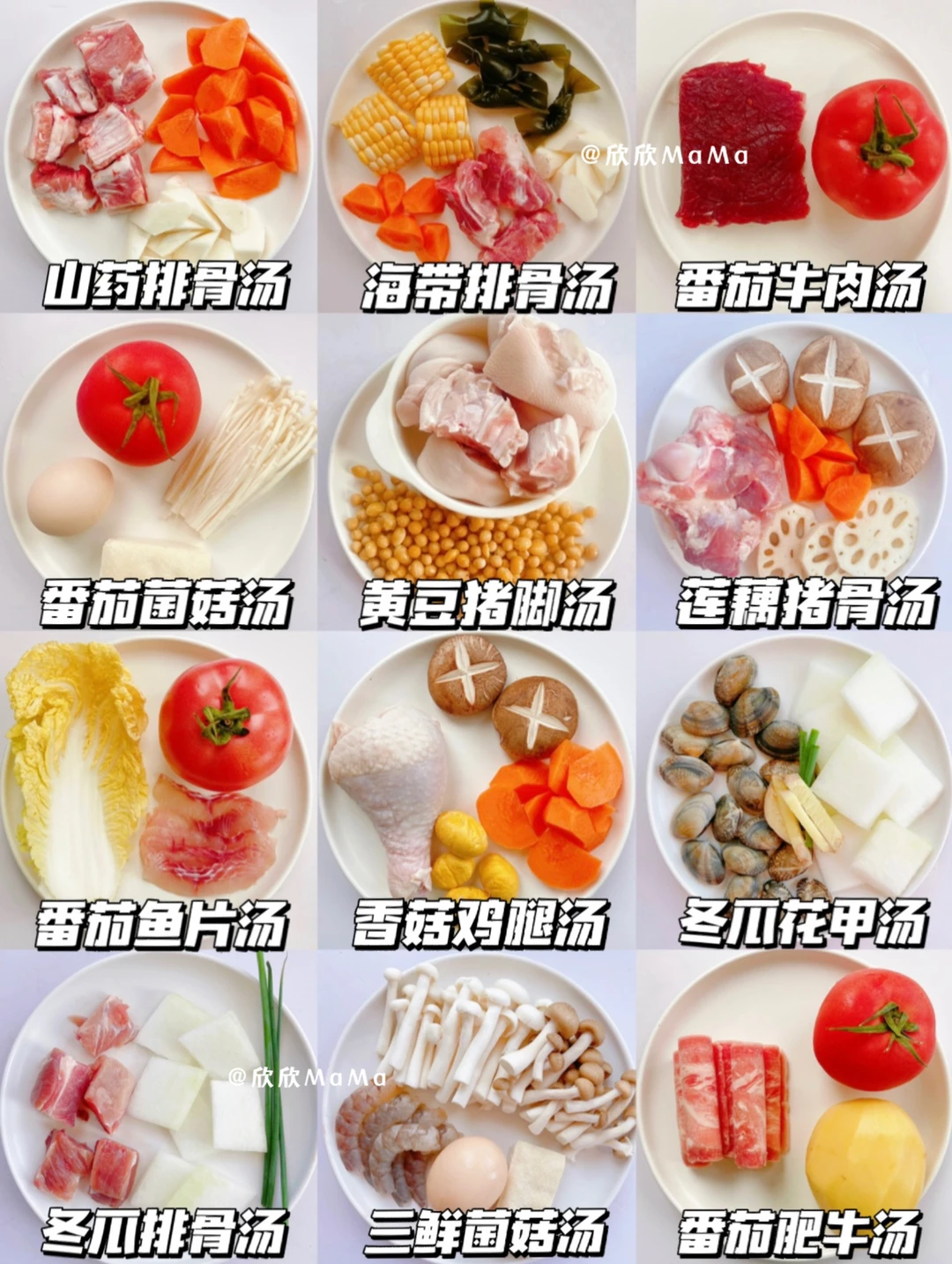 秋冬养胃宝宝营养炖汤🔥补铁补钙开胃·好喝