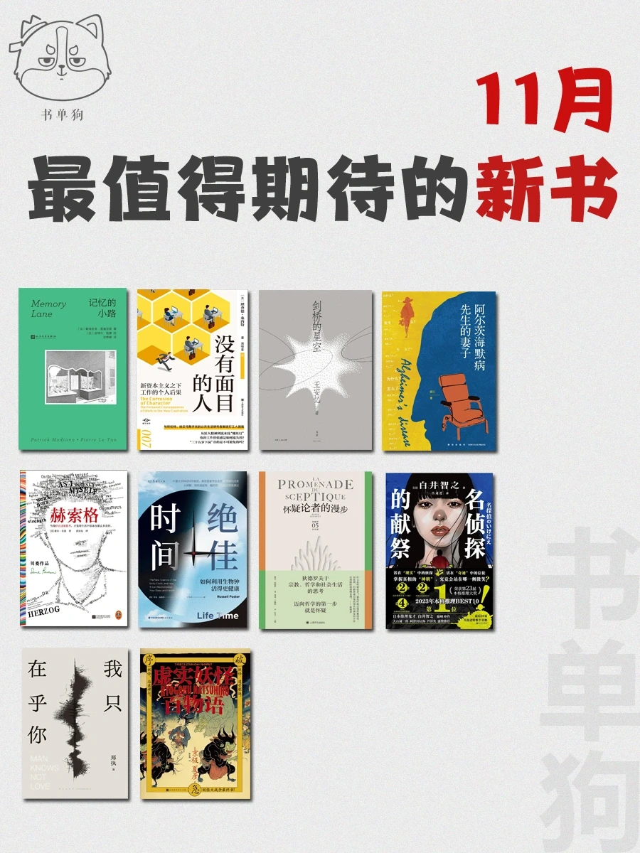 新书速递 | 11 月最值得期待的新书来啦！