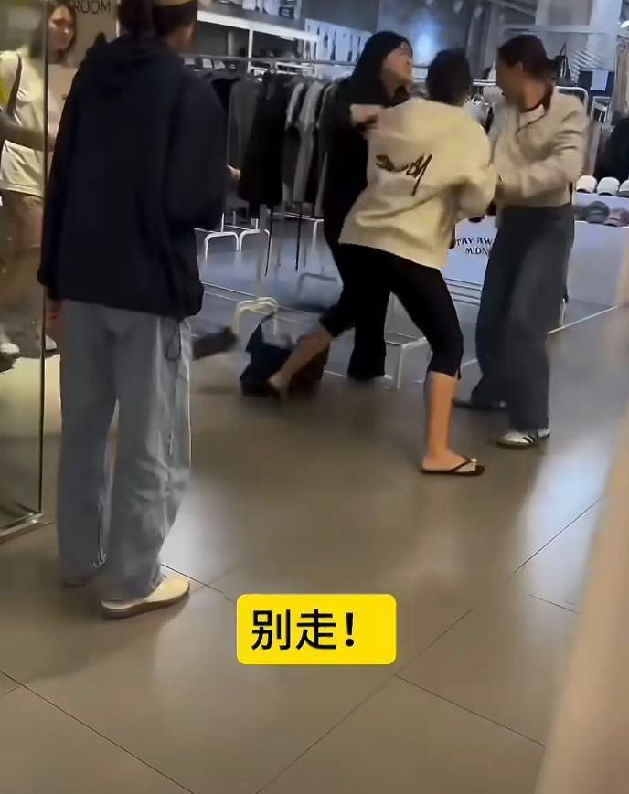 在韩国首尔，一名法国女子当众大喊“韩国人讨厌中国人，全世界都讨厌中国人”，一旁的中国女生听到后立刻上前争辩，没说几句就从言语冲突升级为肢体推搡。冲突中，法国女子推着婴儿车试图离开，中国女生死死拽住其衣物不放，婴儿车剧烈晃动，车内孩子吓得嚎啕大哭。

中国女生用韩语高喊“帮帮我”“帮我叫警察”，周围韩