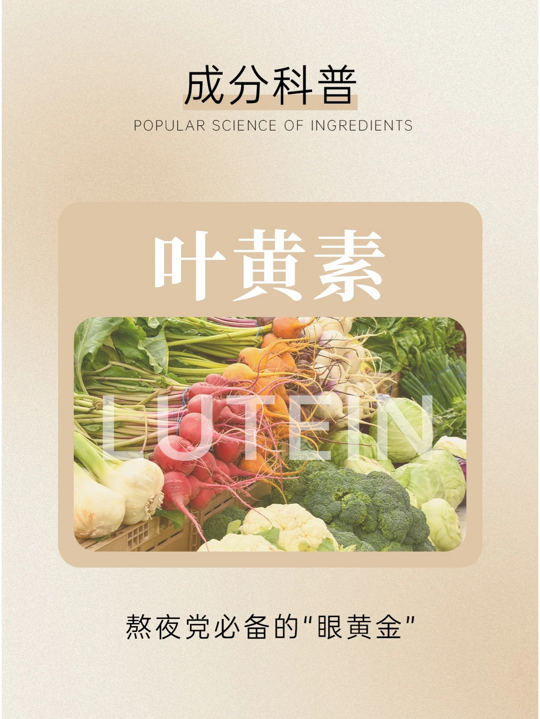 成分科普|熬夜党必备的“眼黄金”—叶黄素