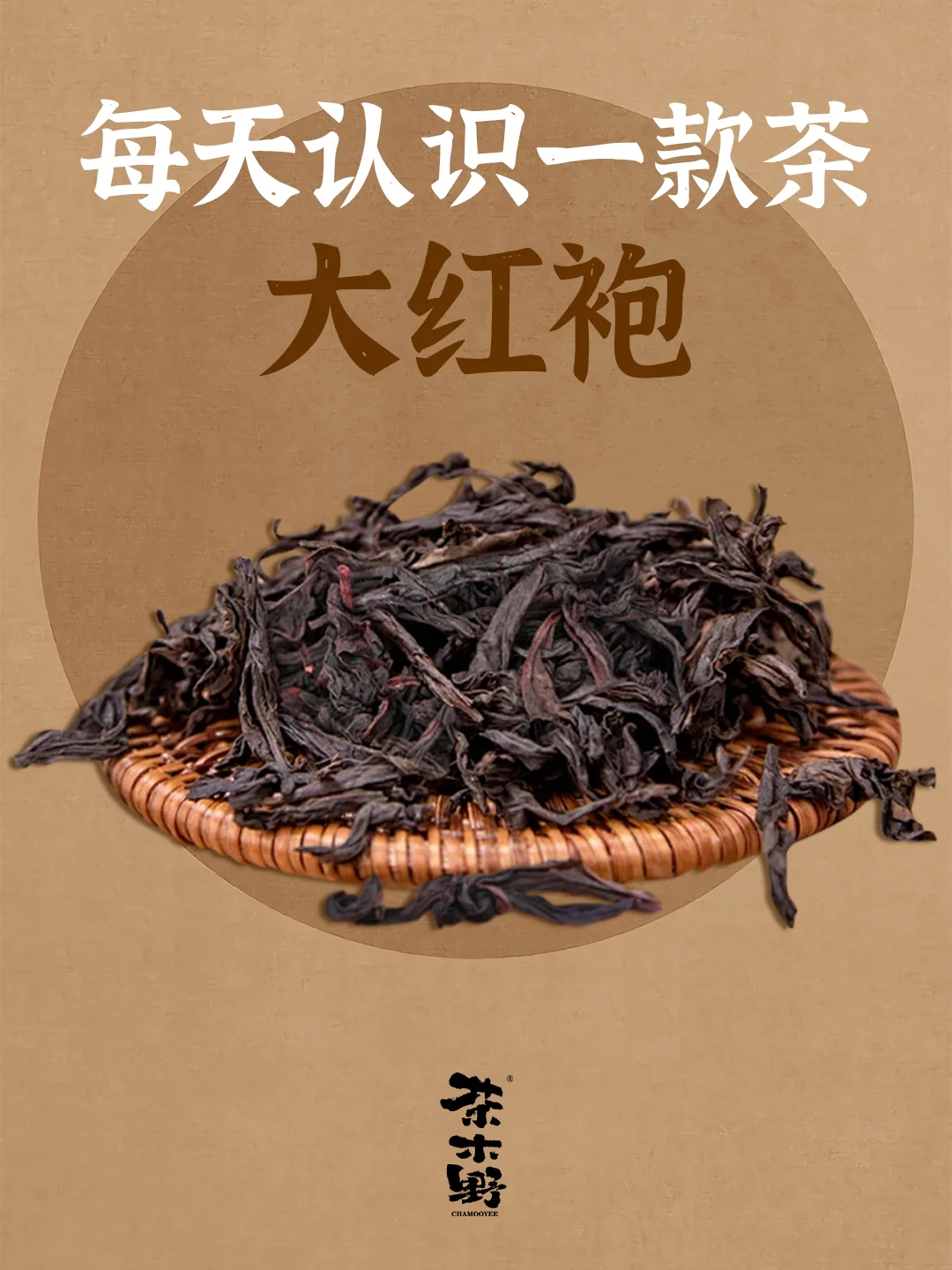 知识分享一分钟了解大红袍