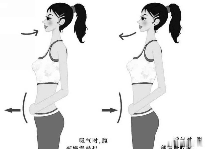 命门呼吸法与腹式呼吸腹式呼吸对了，不仅可以帮助我们放松身心，同时也可以帮助瘦腹噢！经常采用这种呼吸方式可调节身心健康，排出体内浊气。                                                   一、腹式呼吸怎么调节身体？ 1. 肠胃人们在进行腹式呼吸时，由于腹部肌肉紧张与松弛交替发生，从而使局部肌肉内毛细血管也交替出现收缩与舒张。由此加速了血液循环，扩大了氧的供给，同时也有利于机体代谢产物的排除，对全身器官组织起到调整和促进作用；另外，腹肌的收缩和放松也是一种良好的按摩，它可以促进胃腹运动，改变消化机能。同时，腹肌又是排便的动力肌，所以有规律的腹式呼吸锻炼还有利于防止习惯性便秘。 2. 肺 腹式呼吸最大特点是能够增加膈肌的活动范围，而膈肌的运动直接影响肺的通气量。 研究证明：膈肌每下降一长2厘米，肺通气量可增加250至300毫升。坚持腹式呼吸半年，可使膈肌活动范围增加四厘米。这对于肺功能的改善大有好处，是老年性肺气肿及其他肺通气障碍的重要康复...