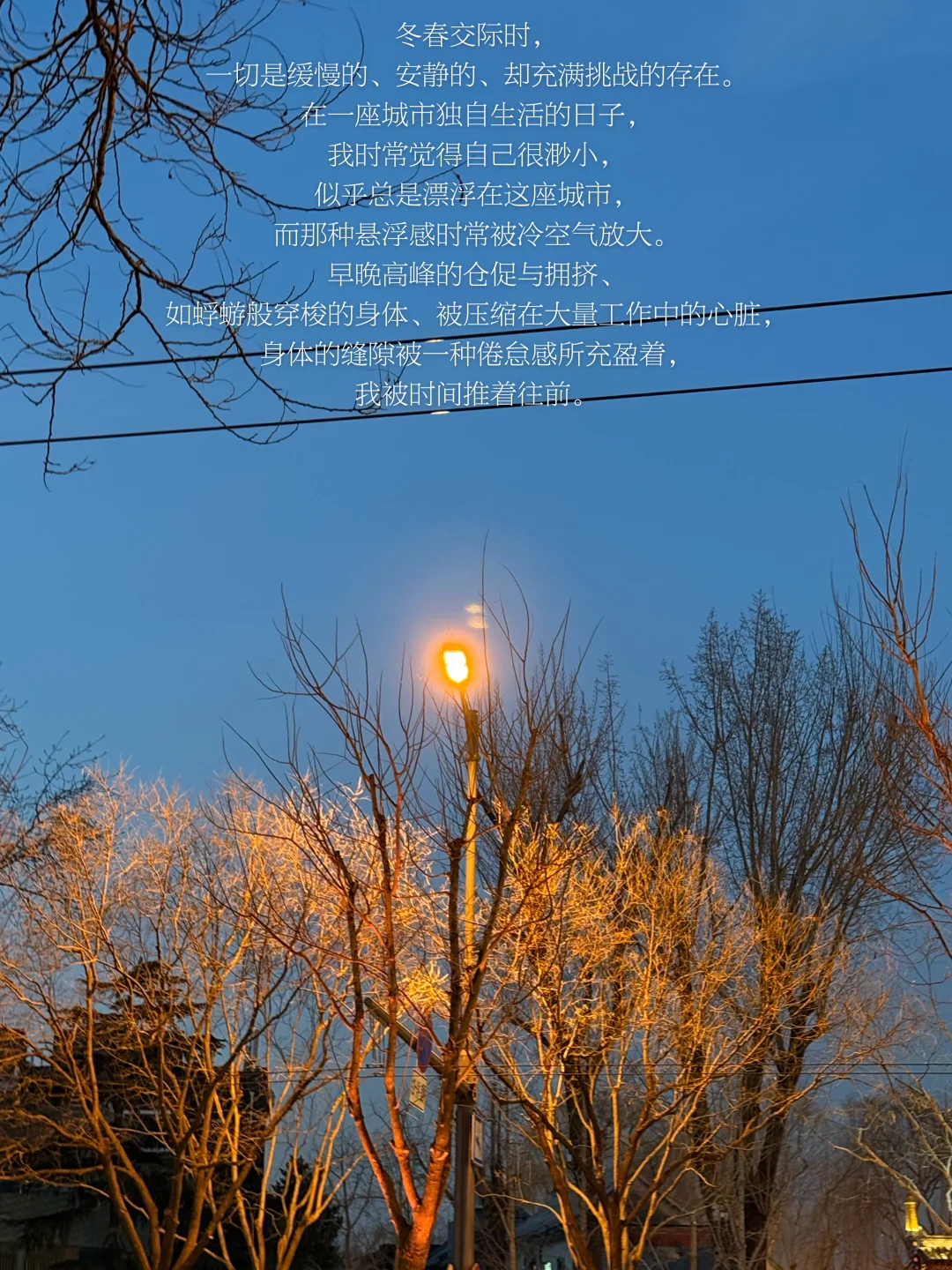 一个INFJ的自我疗愈清单