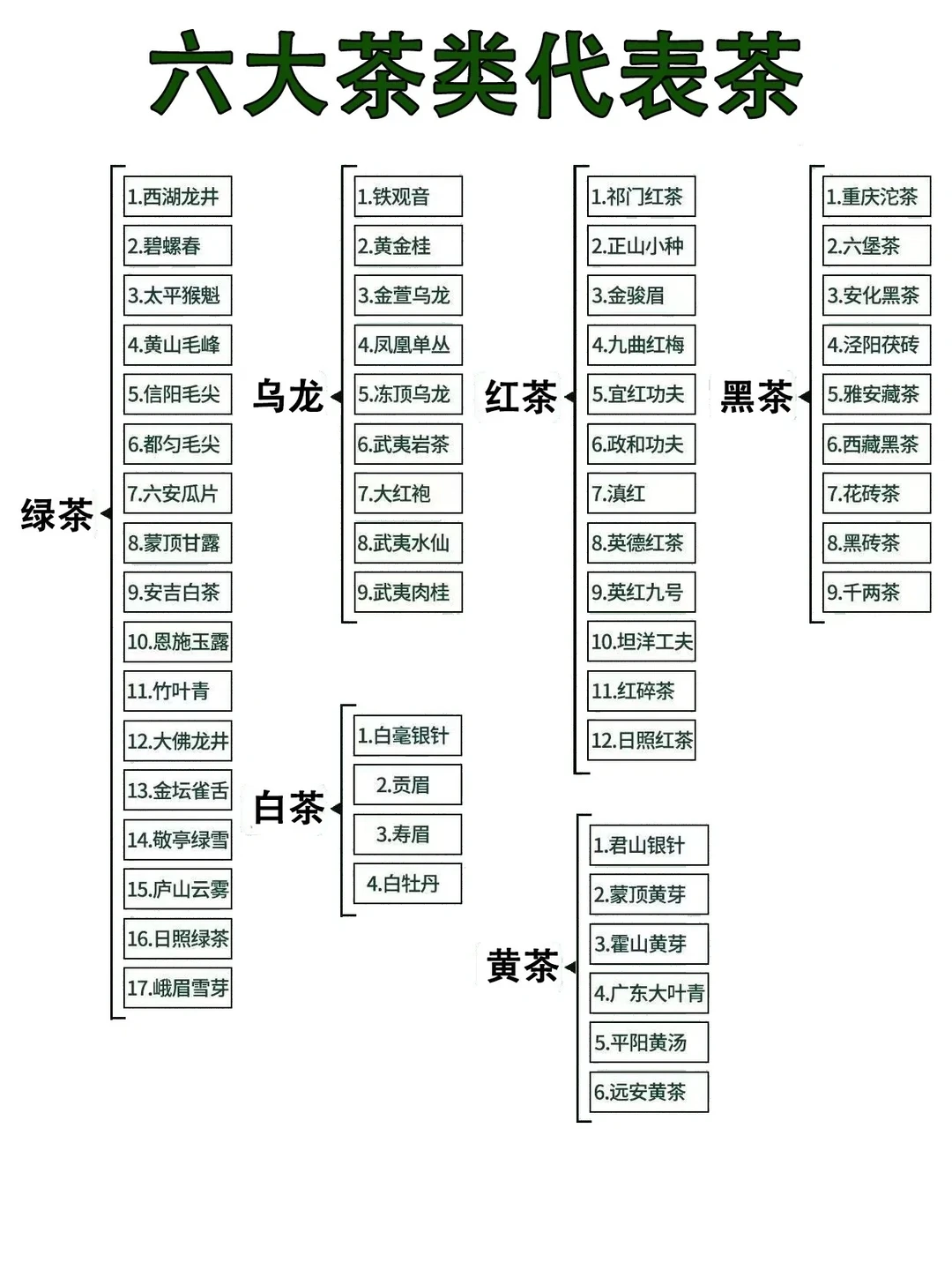 六大茶类代表茶，你知道几个，一起来看看！
