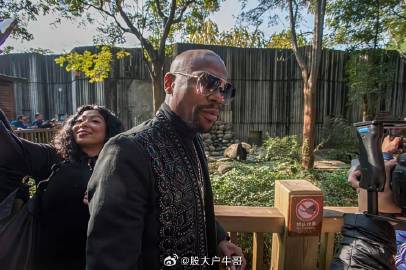 49岁的拳坛传奇梅威瑟，真没钱了？职业生涯他50战50胜，27次KO对...