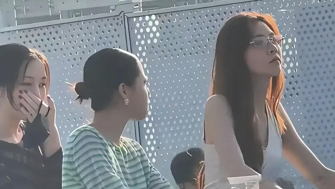 窦靖童宋妍霏恋情再添实锤？王菲生日同框、机场同航班、音乐节坐一起看演出，李亚鹏多年前那句话一语成谶 ​