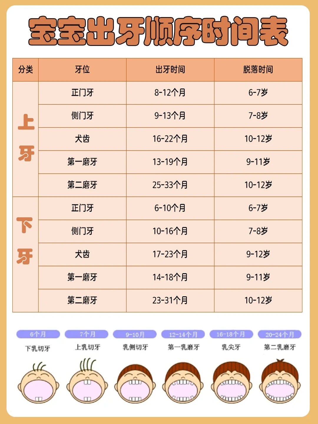 注意‼️宝宝全阶段护牙攻略｜附出牙时间表