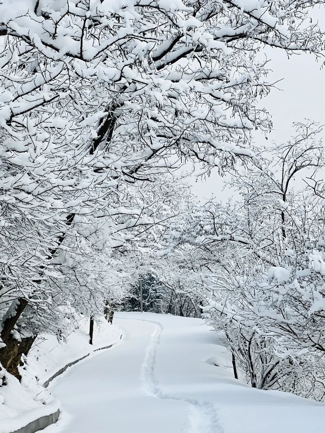 1.18实拍❗北京雪后雾淞雪景❄地铁直达