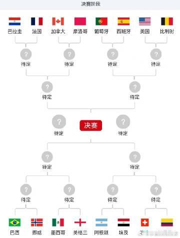 阿根廷今日涉险过关，有希望与巴西在半决赛相遇呀！但是卫冕的可能性极小！...
