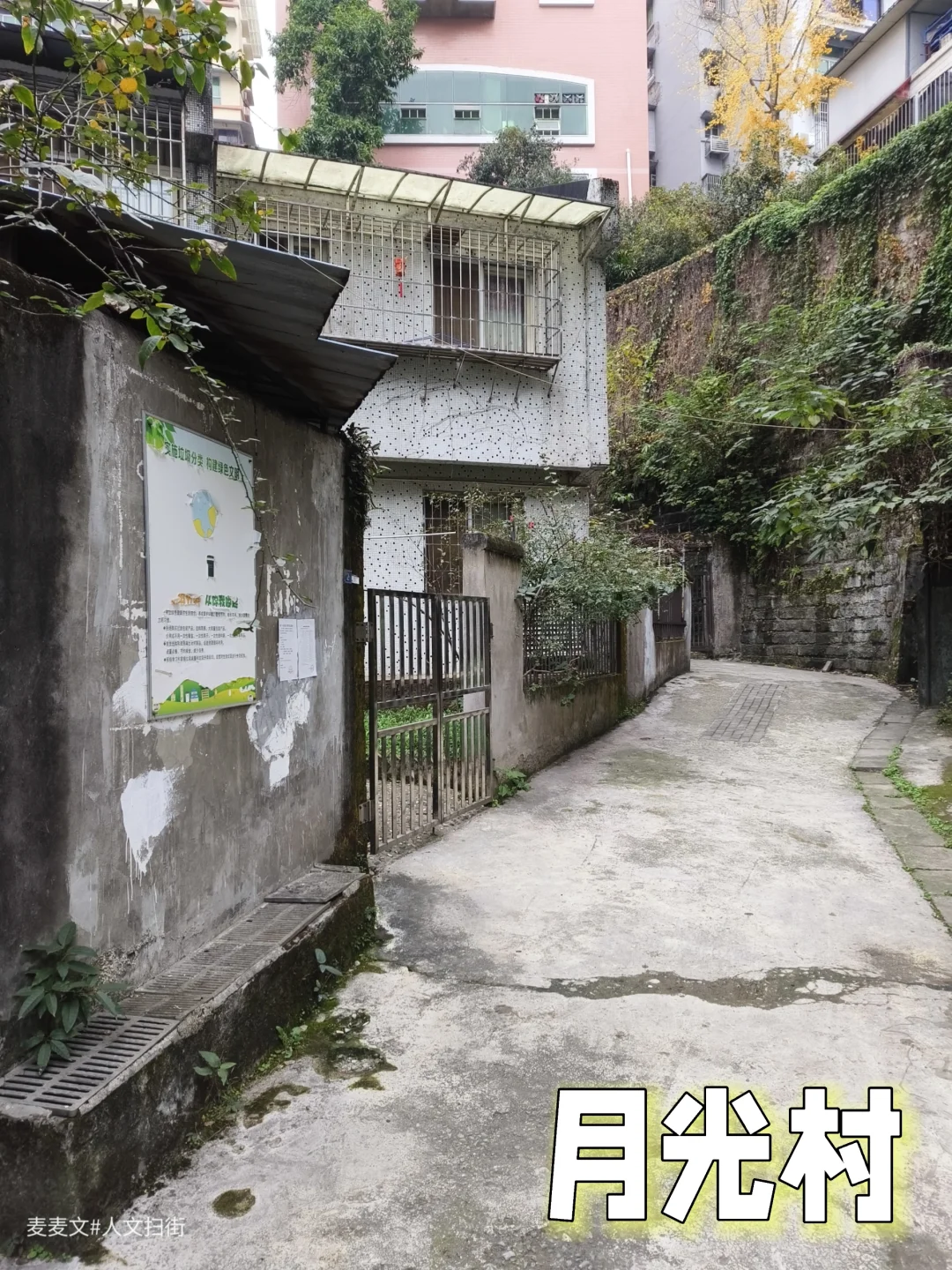 【大渡口】月光村，一个有故事的地方