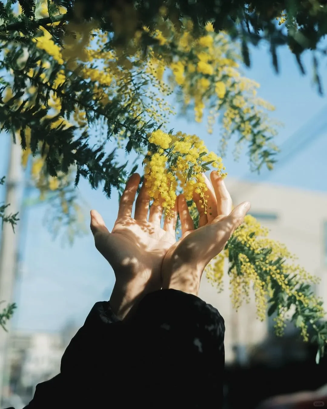 作品赏析-如何激发观者的遐想和情感共鸣