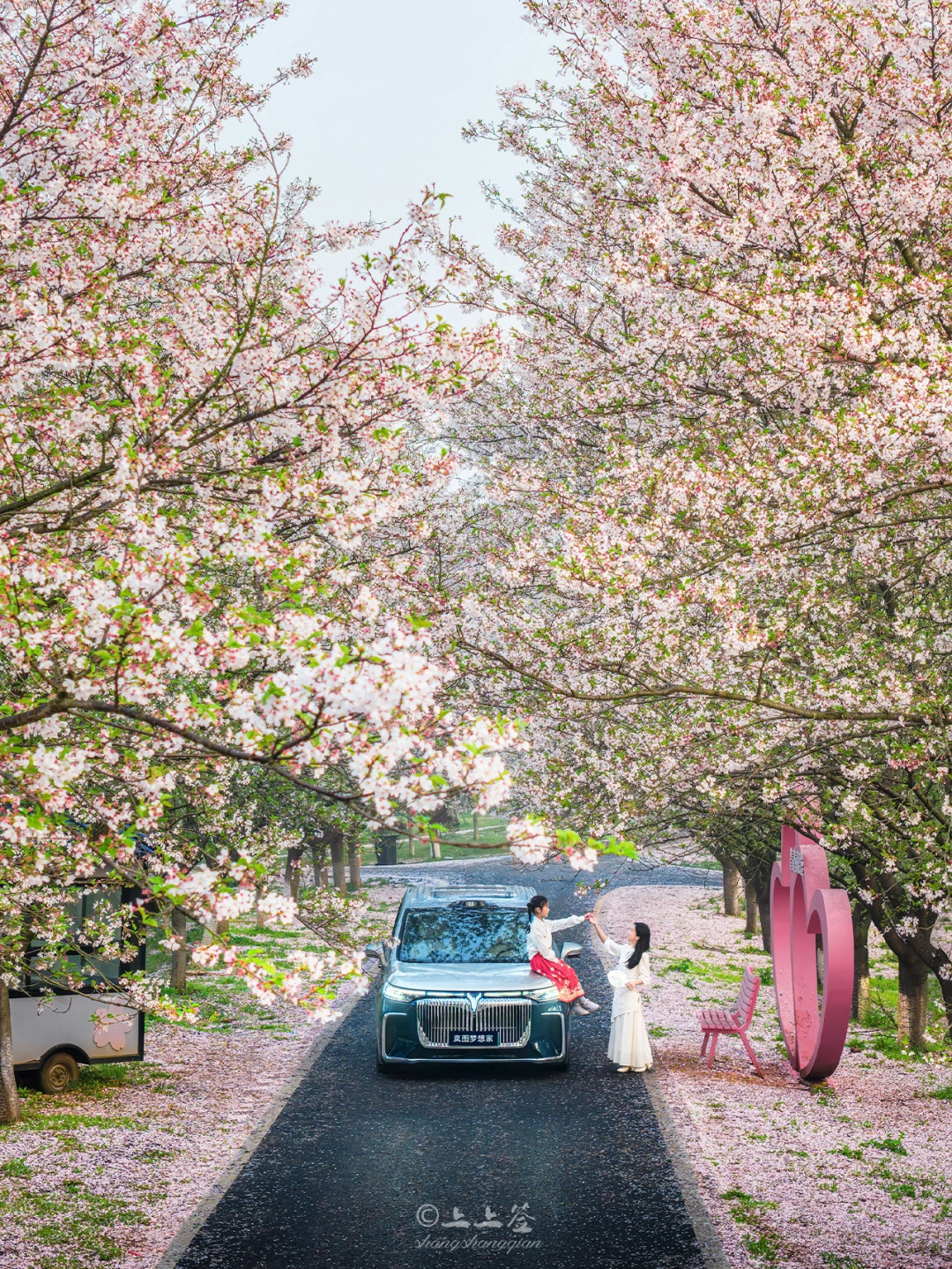 不是AI，武汉的樱花在全国也很难有对手吧⁉️