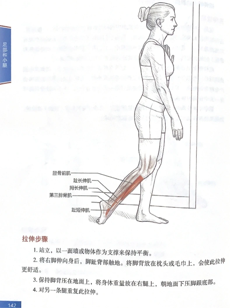 小腿粗又紧怎么办？教你小腿前侧拉伸